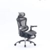 כיסא SIHOO Doro-C300 PRO Black Footrest מבט קדמי מהצד